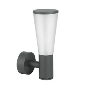 10888-wal light 9w Led Outdoor Wall Lights